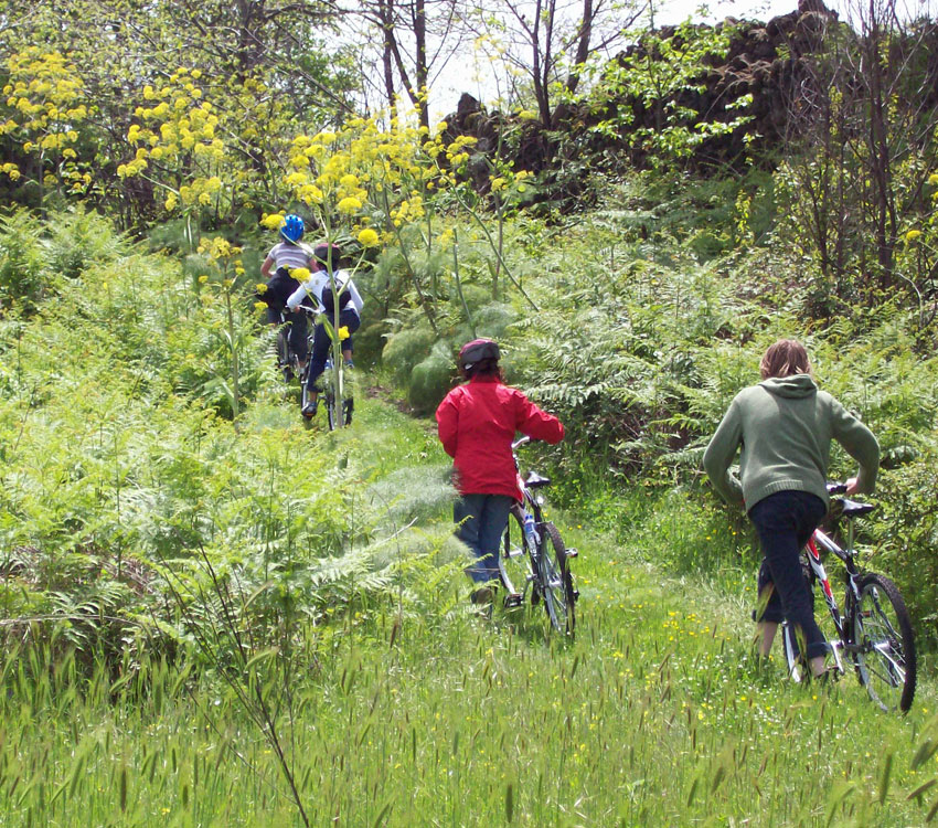 Etna Excursion: Biking