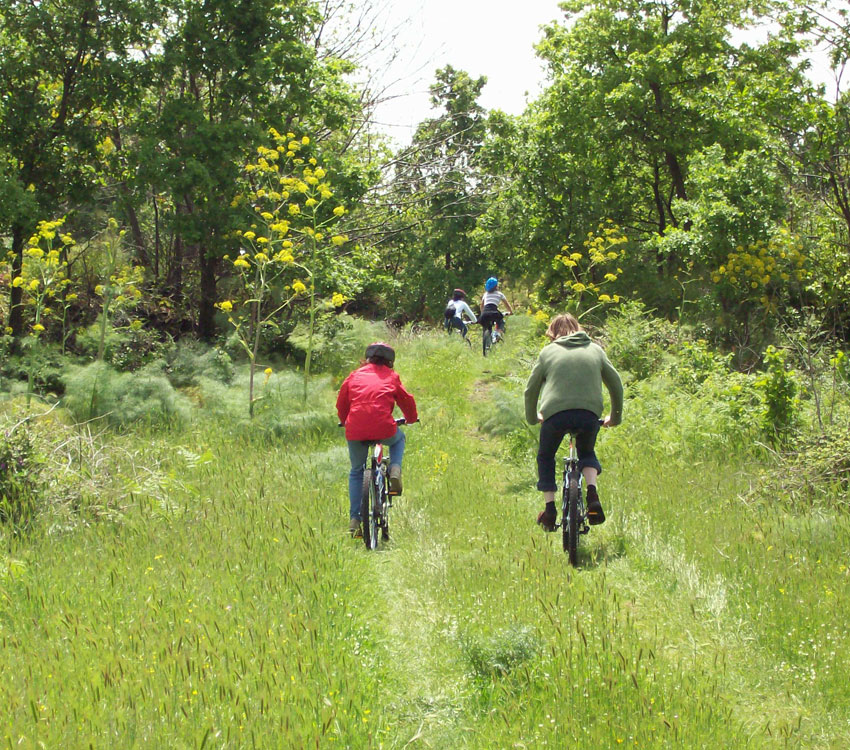 Etna Excursion: Biking