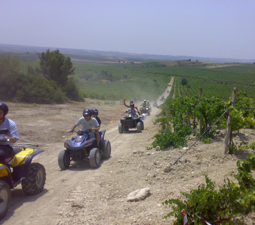 Etna Excursion: Quad