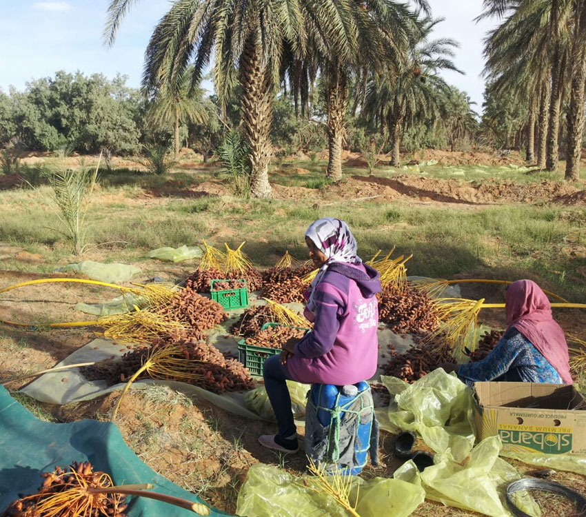 Etna Excursion: Tunisia